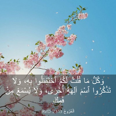 Picture 03 - اَلْخُرُوجُ 23:13 AVD - وَكُلُّ مَا قُلْتُ لَكُمُ - Bible Verse Picture