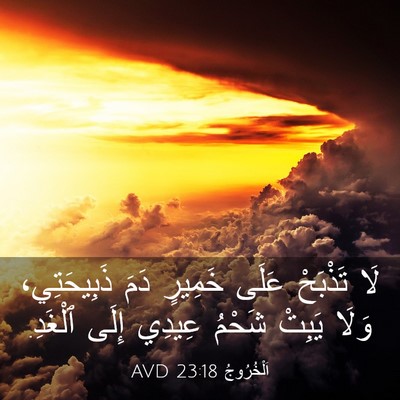 Picture 03 - اَلْخُرُوجُ 23:18 AVD - لَا تَذْبَحْ عَلَى خَمِيرٍ - Bible Verse Picture
