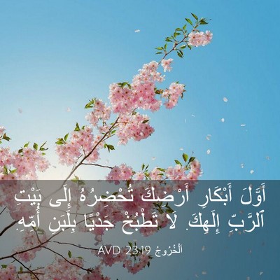 Picture 03 - اَلْخُرُوجُ 23:19 AVD - أَوَّلَ أَبْكَارِ - Bible Verse Picture