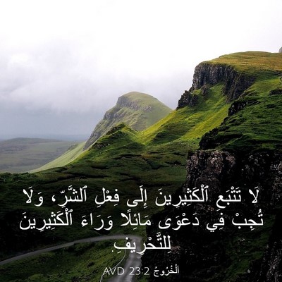 Picture 03 - اَلْخُرُوجُ 23:2 AVD - لَا تَتْبَعِ - Bible Verse Picture