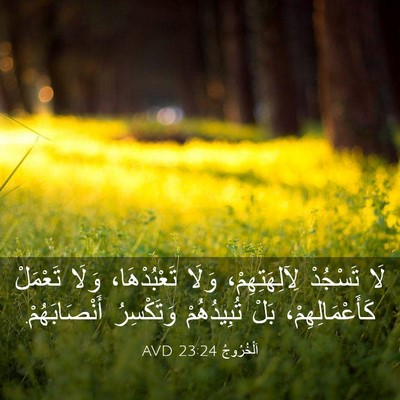 Picture 03 - اَلْخُرُوجُ 23:24 AVD - لَا تَسْجُدْ - Bible Verse Picture