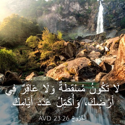 Picture 03 - اَلْخُرُوجُ 23:26 AVD - لَا تَكُونُ مُسْقِطَةٌ - Bible Verse Picture