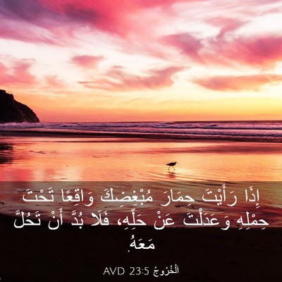 Picture 03 - اَلْخُرُوجُ 23:5 AVD - إِذَا رَأَيْتَ حِمَارَ - Bible Verse Picture