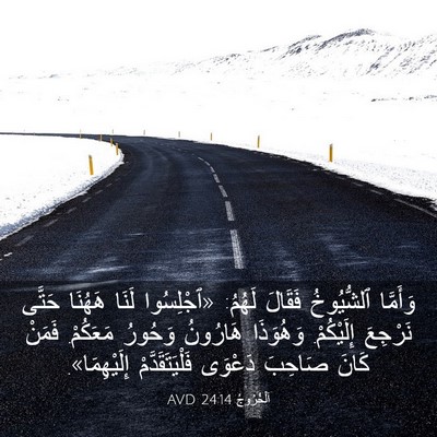 Picture 03 - اَلْخُرُوجُ 24:14 AVD - وَأَمَّا ٱلشُّيُوخُ - Bible Verse Picture