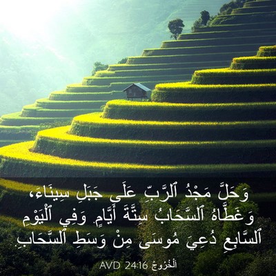 Picture 03 - اَلْخُرُوجُ 24:16 AVD - وَحَلَّ مَجْدُ ٱلرَّبِّ - Bible Verse Picture