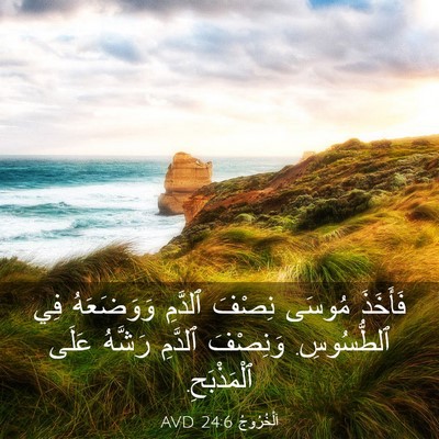 Picture 03 - اَلْخُرُوجُ 24:6 AVD - فَأَخَذَ مُوسَى نِصْفَ - Bible Verse Picture