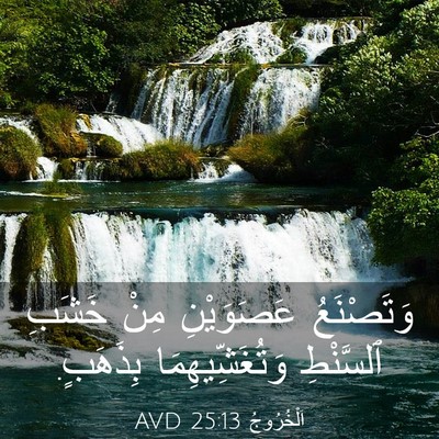 Picture 03 - اَلْخُرُوجُ 25:13 AVD - وَتَصْنَعُ عَصَوَيْنِ - Bible Verse Picture