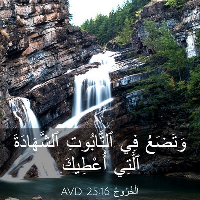 Picture 03 - اَلْخُرُوجُ 25:16 AVD - وَتَضَعُ فِي ٱلتَّابُوتِ - Bible Verse Picture