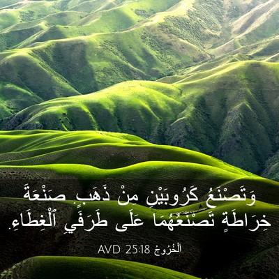 Picture 03 - اَلْخُرُوجُ 25:18 AVD - وَتَصْنَعُ كَرُوبَيْنِ - Bible Verse Picture