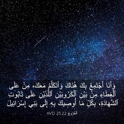 Picture 03 - اَلْخُرُوجُ 25:22 AVD - وَأَنَا أَجْتَمِعُ بِكَ - Bible Verse Picture
