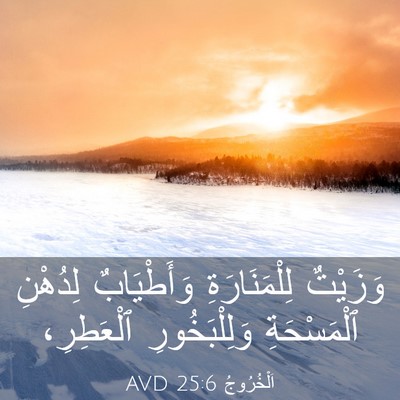 Picture 03 - اَلْخُرُوجُ 25:6 AVD - وَزَيْتٌ لِلْمَنَارَةِ - Bible Verse Picture
