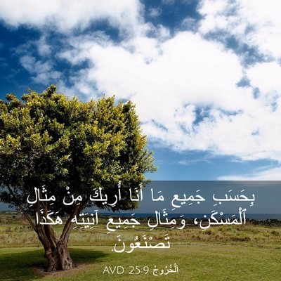 Picture 03 - اَلْخُرُوجُ 25:9 AVD - بِحَسَبِ جَمِيعِ مَا أَنَا - Bible Verse Picture