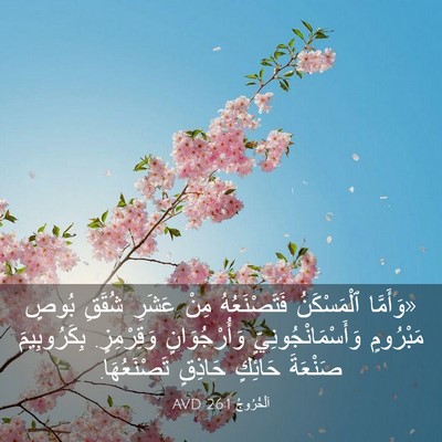 Picture 03 - اَلْخُرُوجُ 26:1 AVD - «وَأَمَّا ٱلْمَسْكَنُ - Bible Verse Picture