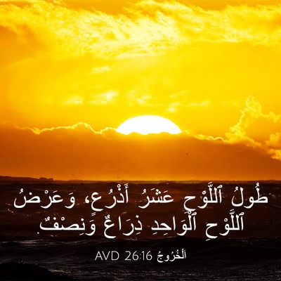Picture 03 - اَلْخُرُوجُ 26:16 AVD - طُولُ ٱللَّوْحِ عَشَرُ - Bible Verse Picture