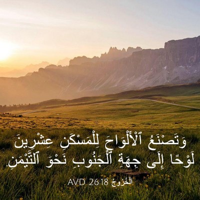Picture 03 - اَلْخُرُوجُ 26:18 AVD - وَتَصْنَعُ ٱلْأَلْوَاحَ - Bible Verse Picture