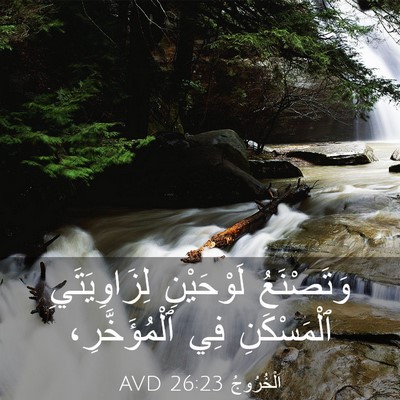 Picture 03 - اَلْخُرُوجُ 26:23 AVD - وَتَصْنَعُ لَوْحَيْنِ - Bible Verse Picture