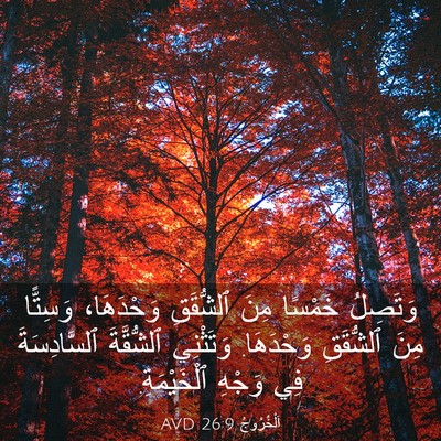 Picture 03 - اَلْخُرُوجُ 26:9 AVD - وَتَصِلُ خَمْسًا مِنَ - Bible Verse Picture