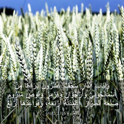 Picture 03 - اَلْخُرُوجُ 27:16 AVD - وَلِبَابِ ٱلدَّارِ سَجْفٌ - Bible Verse Picture
