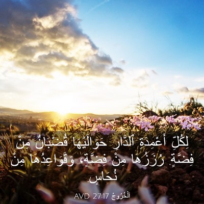 Picture 03 - اَلْخُرُوجُ 27:17 AVD - لِكُلِّ أَعْمِدَةِ - Bible Verse Picture