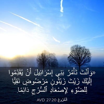 Picture 03 - اَلْخُرُوجُ 27:20 AVD - «وَأَنْتَ تَأْمُرُ بَنِي - Bible Verse Picture