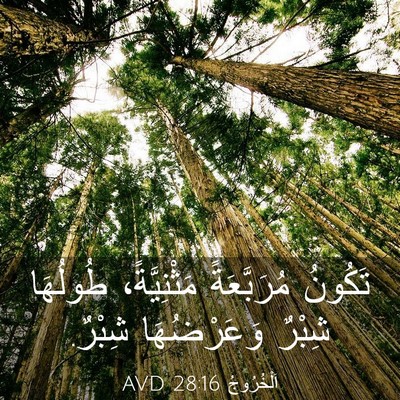 Picture 03 - اَلْخُرُوجُ 28:16 AVD - تَكُونُ مُرَبَّعَةً - Bible Verse Picture