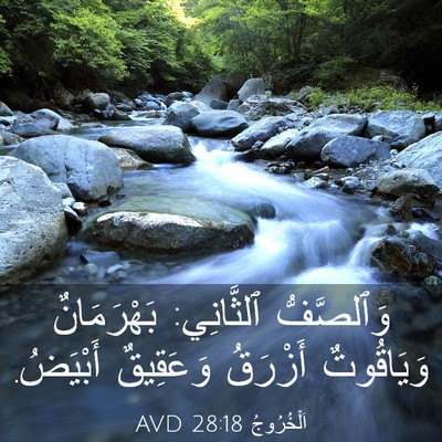 Picture 03 - اَلْخُرُوجُ 28:18 AVD - وَٱلصَّفُّ ٱلثَّانِي: - Bible Verse Picture