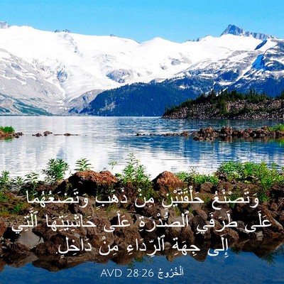 Picture 03 - اَلْخُرُوجُ 28:26 AVD - وَتَصْنَعُ حَلْقَتَيْنِ - Bible Verse Picture