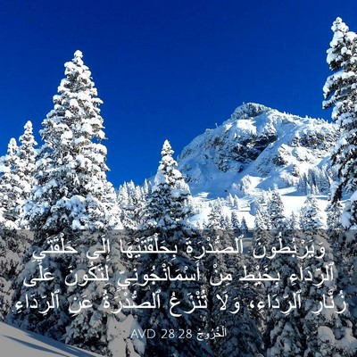 Picture 03 - اَلْخُرُوجُ 28:28 AVD - وَيَرْبُطُونَ ٱلصُّدْرَةَ - Bible Verse Picture
