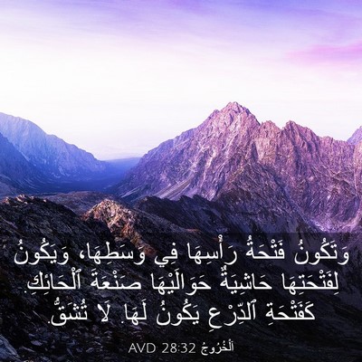 Picture 03 - اَلْخُرُوجُ 28:32 AVD - وَتَكُونُ فَتْحَةُ - Bible Verse Picture