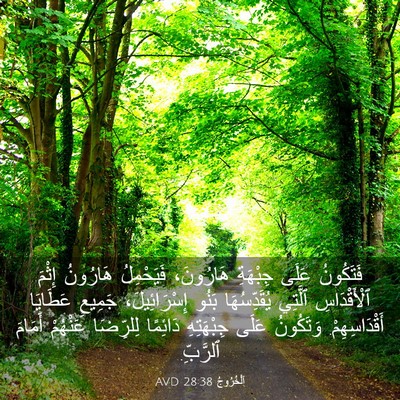 Picture 03 - اَلْخُرُوجُ 28:38 AVD - فَتَكُونُ عَلَى جِبْهَةِ - Bible Verse Picture