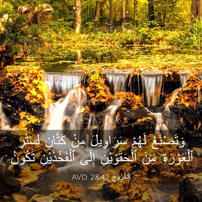 Picture 03 - اَلْخُرُوجُ 28:42 AVD - وَتَصْنَعُ لَهُمْ - Bible Verse Picture