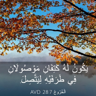 Picture 03 - اَلْخُرُوجُ 28:7 AVD - يَكُونُ لَهُ كَتِفَانِ - Bible Verse Picture