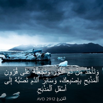 Picture 03 - اَلْخُرُوجُ 29:12 AVD - وَتَأْخُذُ مِنْ دَمِ - Bible Verse Picture