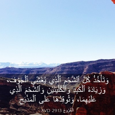 Picture 03 - اَلْخُرُوجُ 29:13 AVD - وَتَأْخُذُ كُلَّ - Bible Verse Picture