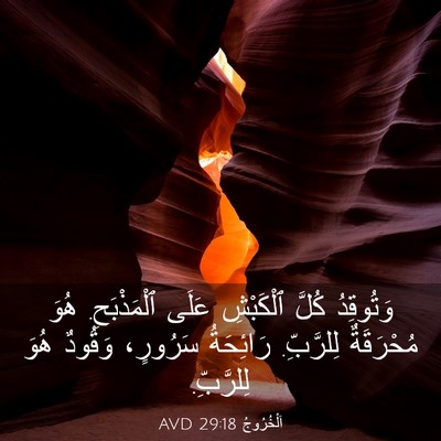 Picture 03 - اَلْخُرُوجُ 29:18 AVD - وَتُوقِدُ كُلَّ ٱلْكَبْشِ - Bible Verse Picture