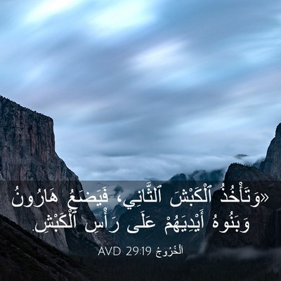 Picture 03 - اَلْخُرُوجُ 29:19 AVD - «وَتَأْخُذُ ٱلْكَبْشَ - Bible Verse Picture