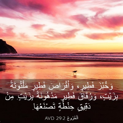Picture 03 - اَلْخُرُوجُ 29:2 AVD - وَخُبْزَ فَطِيرٍ، - Bible Verse Picture