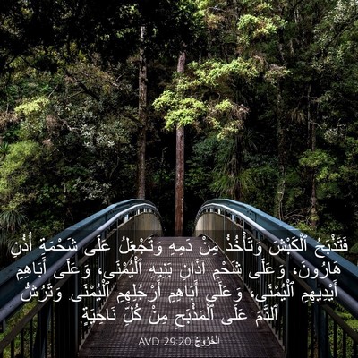 Picture 03 - اَلْخُرُوجُ 29:20 AVD - فَتَذْبَحُ ٱلْكَبْشَ - Bible Verse Picture