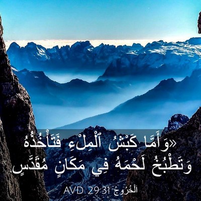 Picture 03 - اَلْخُرُوجُ 29:31 AVD - «وَأَمَّا كَبْشُ - Bible Verse Picture