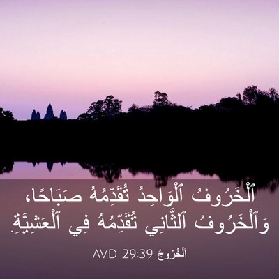 Picture 03 - اَلْخُرُوجُ 29:39 AVD - ٱلْخَرُوفُ ٱلْوَاحِدُ - Bible Verse Picture