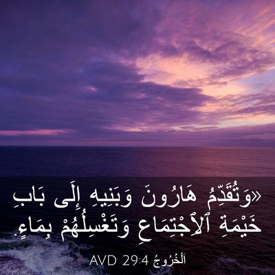 Picture 03 - اَلْخُرُوجُ 29:4 AVD - «وَتُقَدِّمُ هَارُونَ - Bible Verse Picture