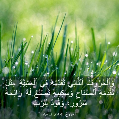 Picture 03 - اَلْخُرُوجُ 29:41 AVD - وَٱلْخَرُوفُ ٱلثَّانِي - Bible Verse Picture