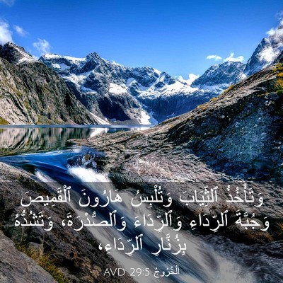 Picture 03 - اَلْخُرُوجُ 29:5 AVD - وَتَأْخُذُ ٱلثِّيَابَ - Bible Verse Picture