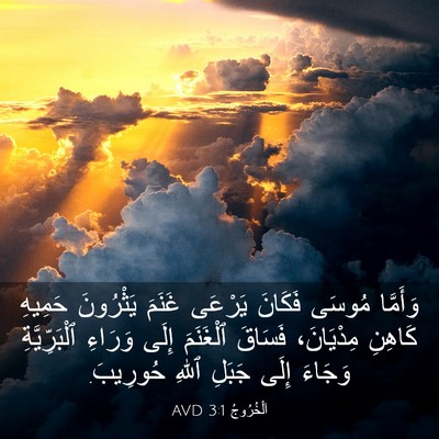 Picture 03 - اَلْخُرُوجُ 3:1 AVD - وَأَمَّا مُوسَى فَكَانَ - Bible Verse Picture