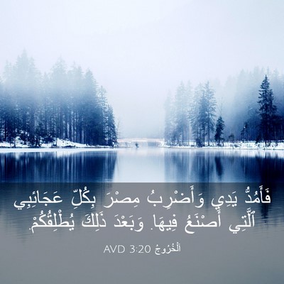Picture 03 - اَلْخُرُوجُ 3:20 AVD - فَأَمُدُّ يَدِي - Bible Verse Picture