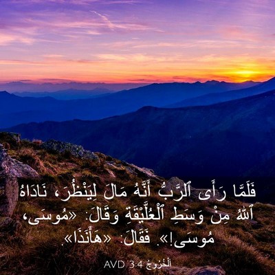 Picture 03 - اَلْخُرُوجُ 3:4 AVD - فَلَمَّا رَأَى ٱلرَّبُّ - Bible Verse Picture