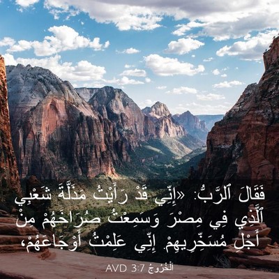 Picture 03 - اَلْخُرُوجُ 3:7 AVD - فَقَالَ ٱلرَّبُّ: «إِنِّي - Bible Verse Picture