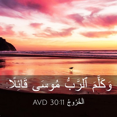 Picture 03 - اَلْخُرُوجُ 30:11 AVD - وَكَلَّمَ ٱلرَّبُّ مُوسَى - Bible Verse Picture