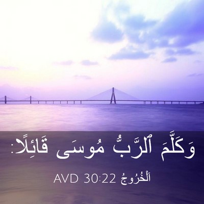 Picture 03 - اَلْخُرُوجُ 30:22 AVD - وَكَلَّمَ ٱلرَّبُّ مُوسَى - Bible Verse Picture