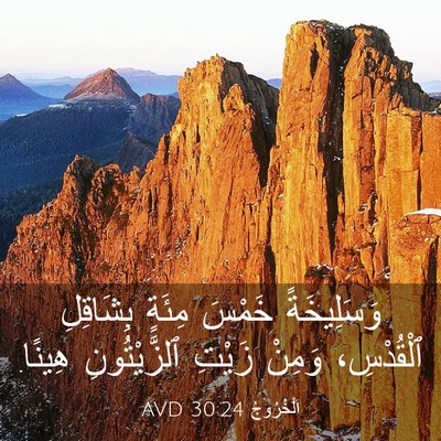 Picture 03 - اَلْخُرُوجُ 30:24 AVD - وَسَلِيخَةً خَمْسَ مِئَةٍ - Bible Verse Picture
